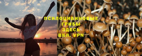 ГАЛЛЮЦИНОГЕННЫЕ ГРИБЫ Абдулино